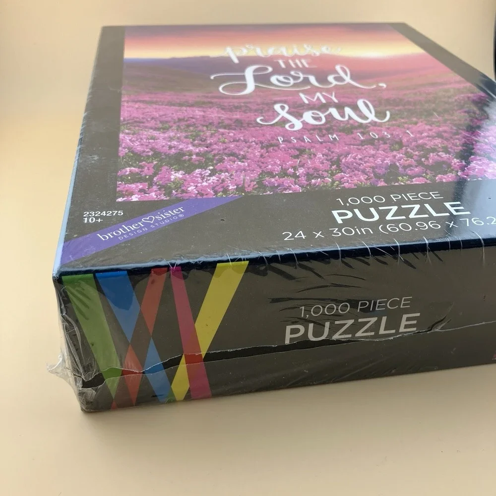 NEW Brother Sister Design Studio 1000 Pcs Jigsaw Puzzle Praise The Lord RELIGOUS